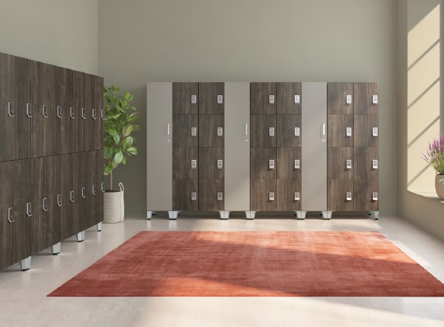 rows of small storage lockers