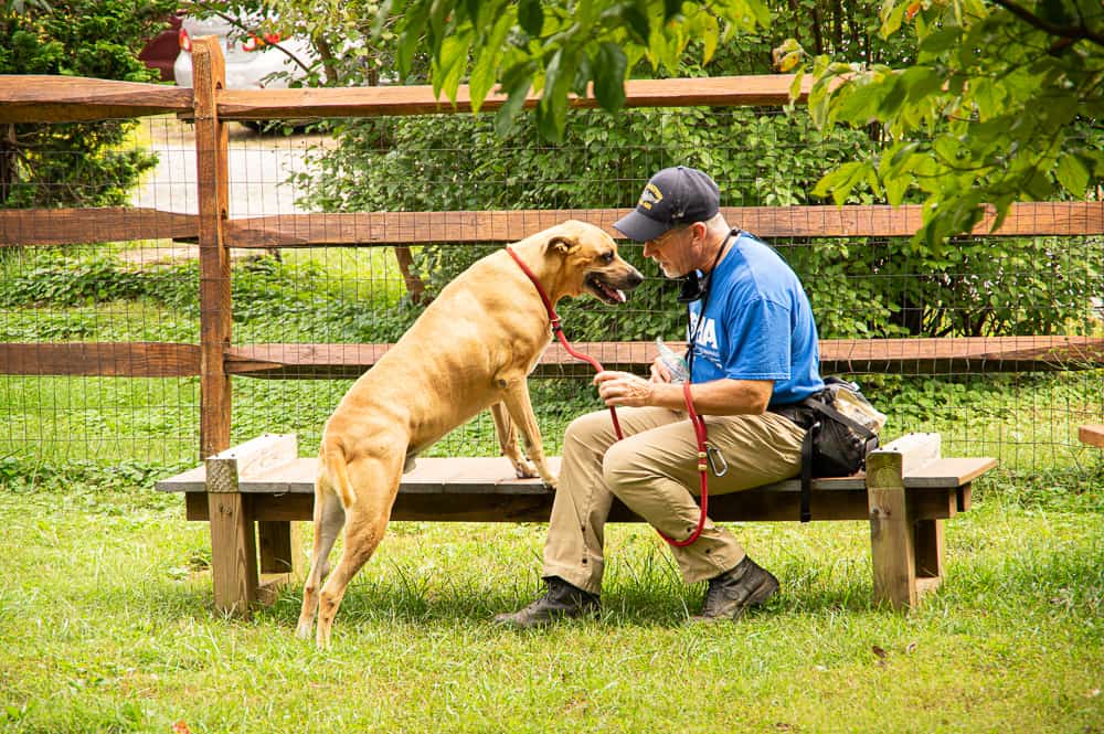 Man with a dog on a leash